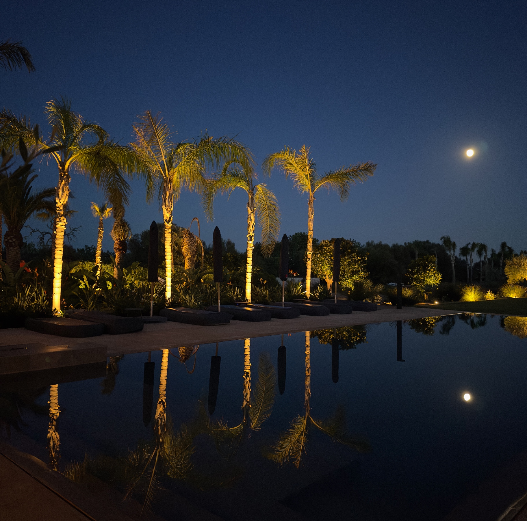 Stone garden pathway with low-voltage path lights at night
