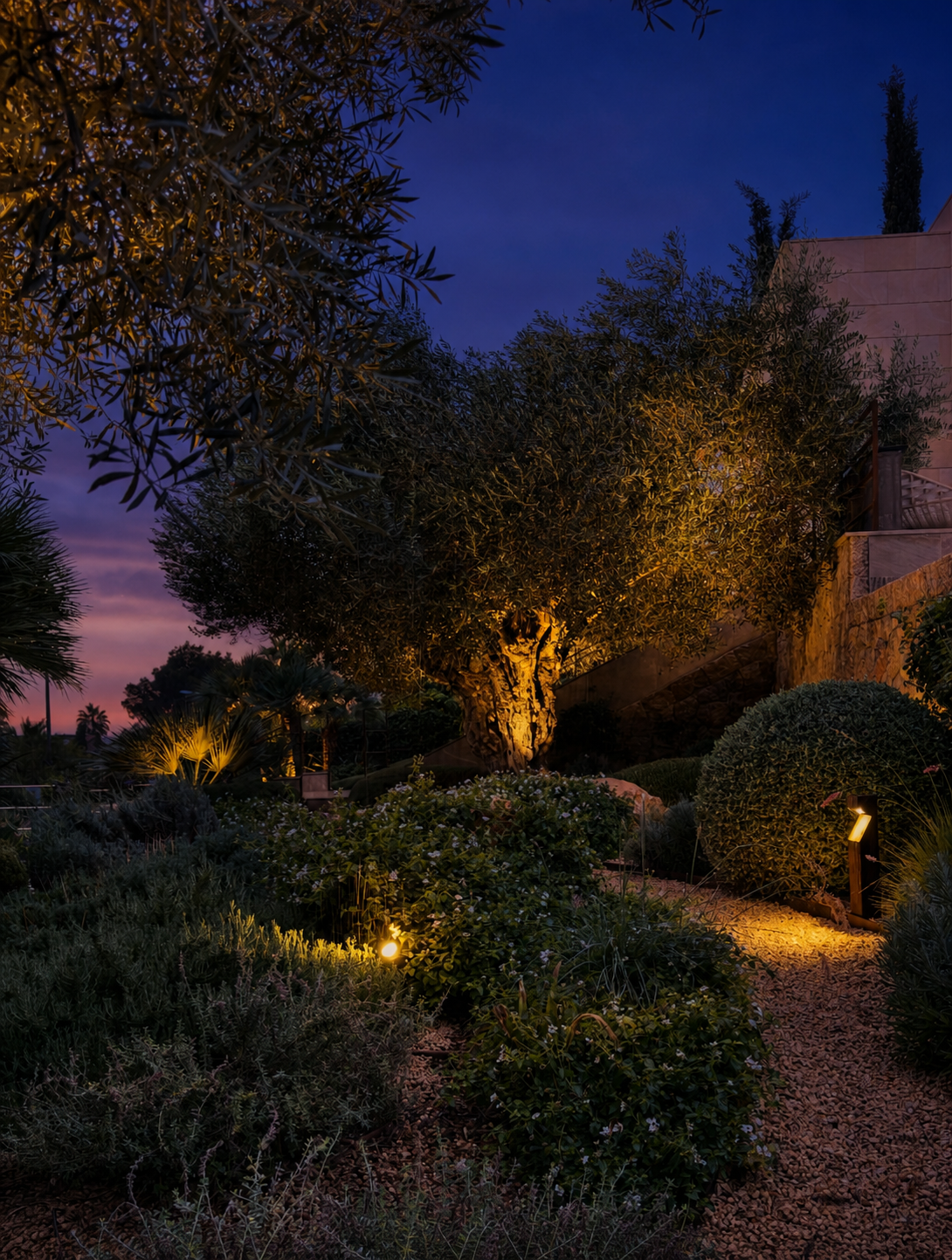 Pool and palms illuminated at night, Mallorca villa